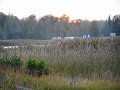 DSCN0591