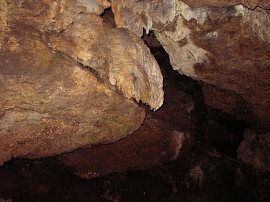 SANY0096.JPG