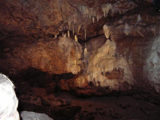 SANY0099.JPG