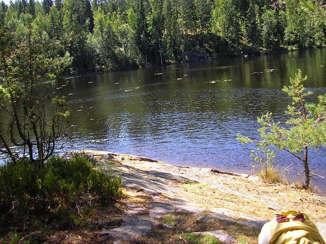 SANY0036.JPG
