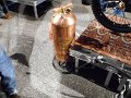 DSCN0871