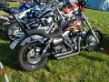 DSCN0653