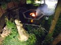 DSCN0669