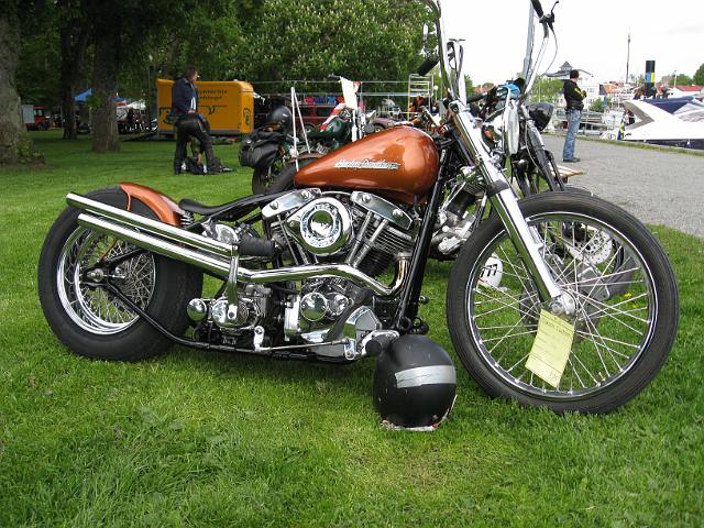 custombike2009070.jpg