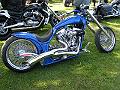 custombike2009094