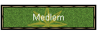 Medlem